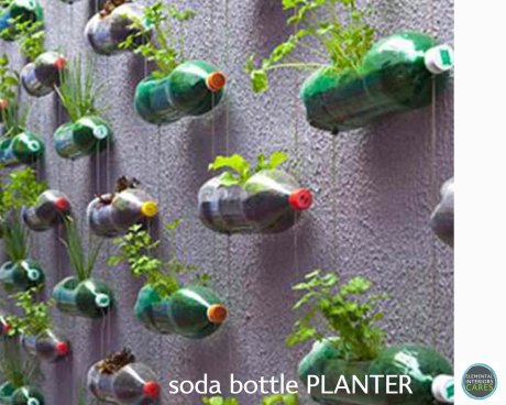 Soda Bottle Planters